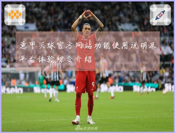 意甲买球官方网站功能使用说明及平台体验综合介绍
