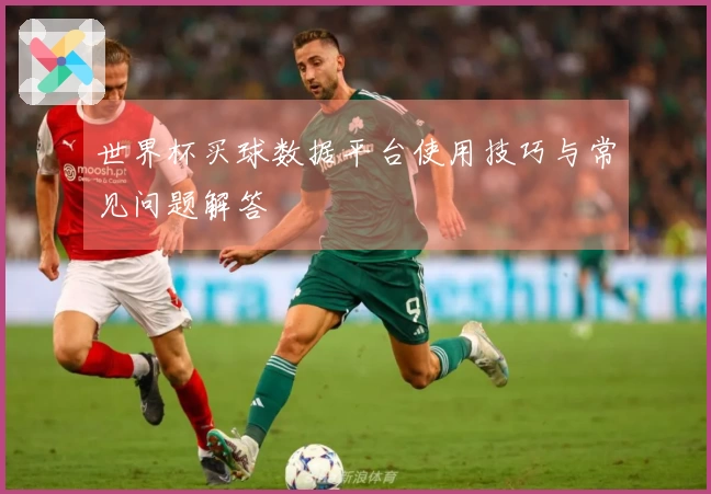 世界杯买球数据平台使用技巧与常见问题解答