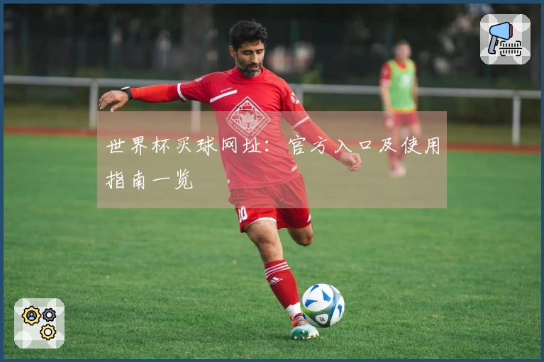世界杯买球网址：官方入口及使用指南一览