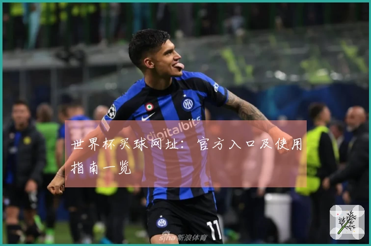 世界杯买球网址:官方入口及使用指南一览